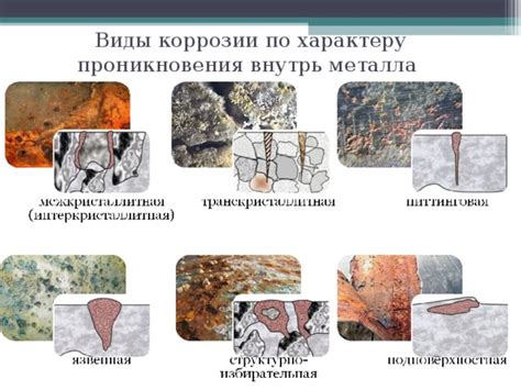 Биозащита металлов от коррозии