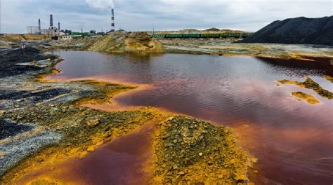 Влияние взаимодействия ртути с металлами на окружающую среду