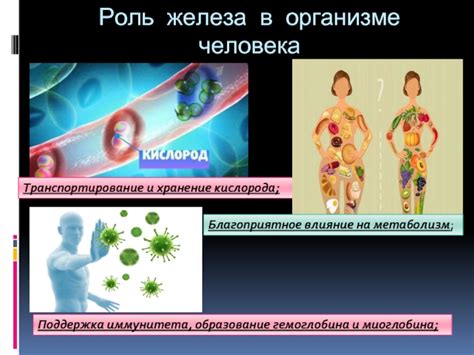 Влияние железа на процесс