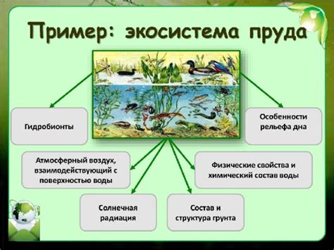 Влияние на водные экосистемы
