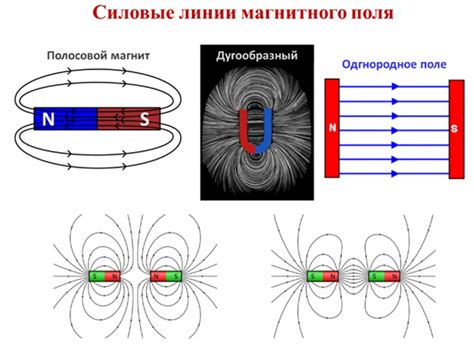 Внешние магнитные поля