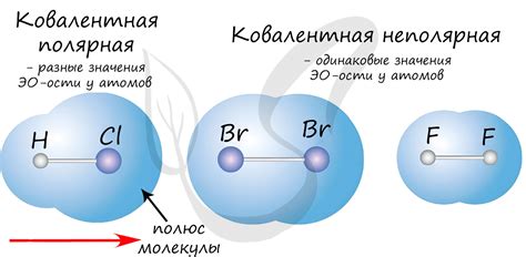 Выдающиеся примеры ковалентной связи в металлах