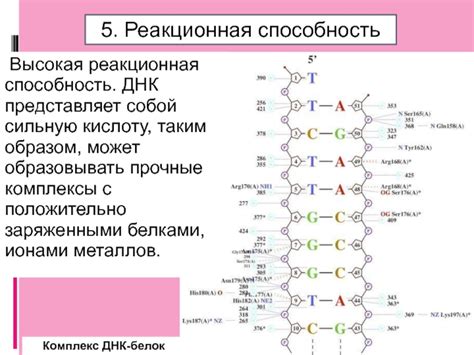 Высокая концентрация и сильная реакционная способность