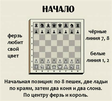 Знакомство с игрой и правила для новичков