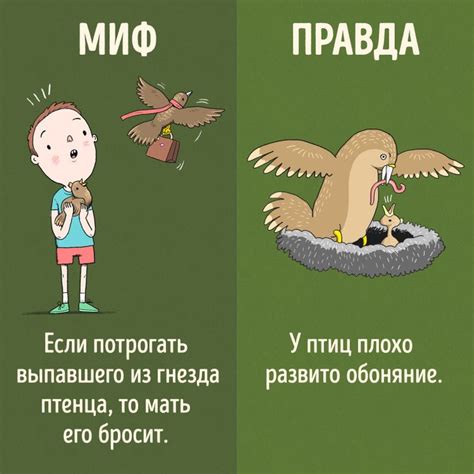 Интересные факты о звучании