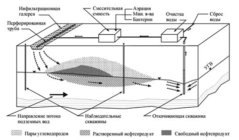 Использование геотехнологий для ускорения очистки почвы
