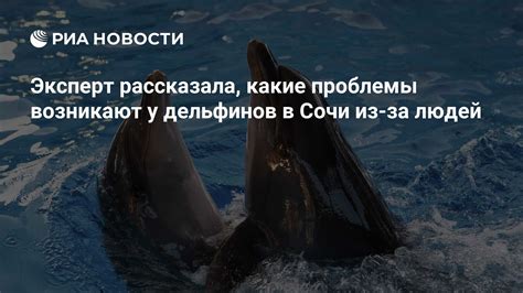 Какие проблемы возникают из-за некорректного веса