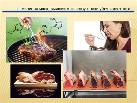 Как предотвратить появление металлических частиц в мясе при использовании мясорубки