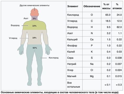 Кальций и кислород