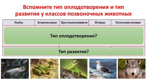 Класс 2: незначительное проникновение внешней среды