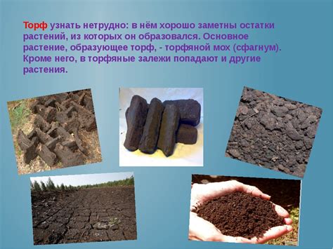 Коксовый торф и его применение