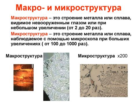 Микро- и макроструктура