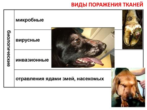 Минимизация механических повреждений