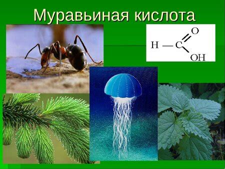 Муравьиная кислота и медь: что стоит знать