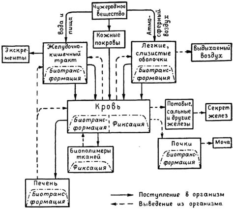 Опасность выделения токсичных веществ