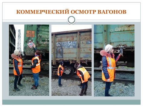 Осмотр и осмотр багажа пассажиров