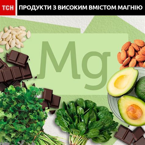 Основные свойства магния