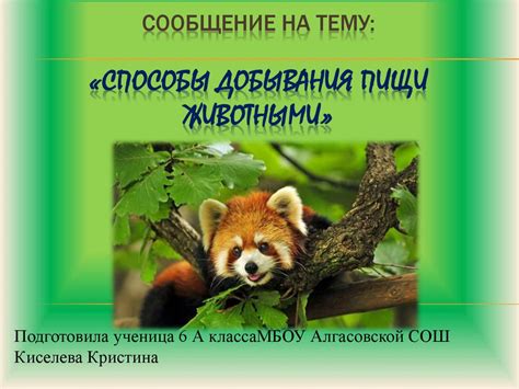 Особенности добывания