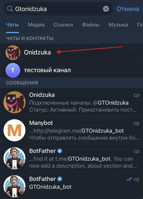 Отправка запроса на поиск с помощью телеграм бота