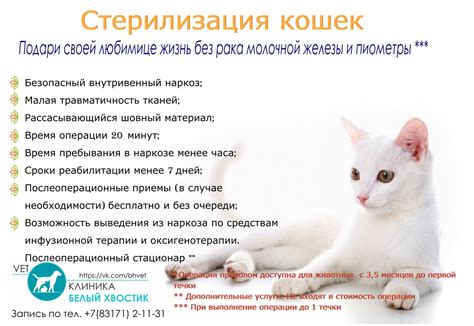 Отсутствие спаривания