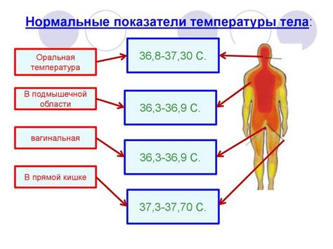 Повышенная температура и ее влияние на круг