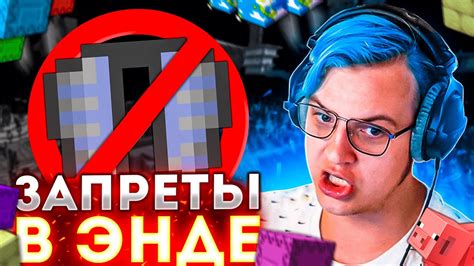 Покраска элитр