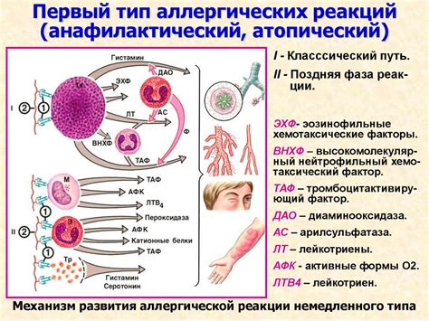 Порошковая краска: причина аллергических реакций