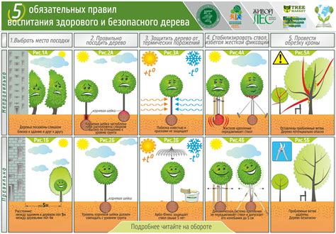 Посадка