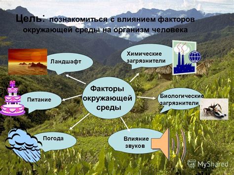 Последствия для экологии и здоровья