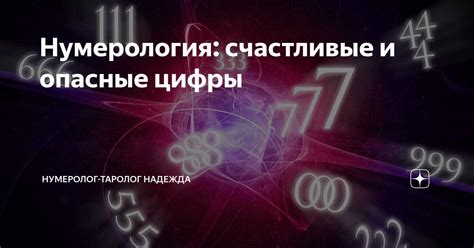 Почему они особенные и как их получить