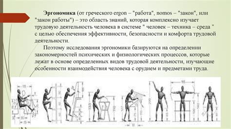 Правила эргономики и основы правильного положения тела