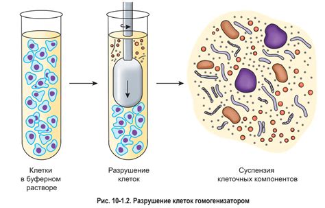 Преимущества маятниковых копр перед другими методами испытания