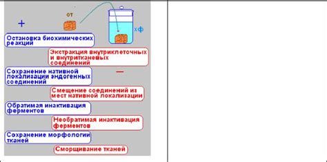 Преимущества химической фиксации
