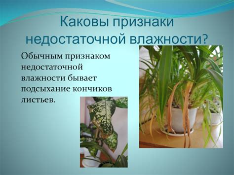 Признаки недостаточной закалки