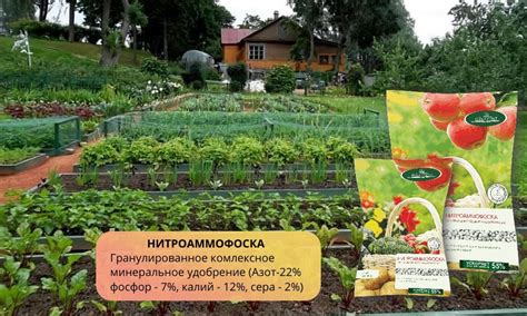 Применение калия в производстве удобрений