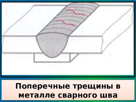 Причины появления металлических частиц в меленом мясе
