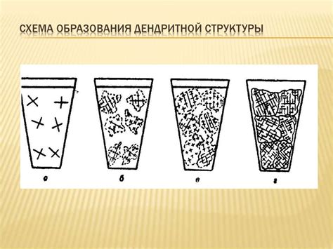 Процесс образования дендритной структуры