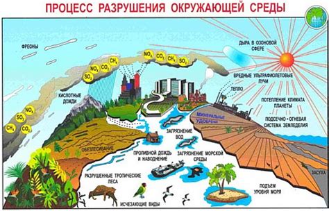 Рабочие условия и окружающая среда