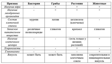 Различия в толщине у разных производителей