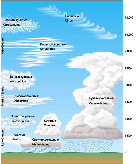 Различные типы шариков и их особенности