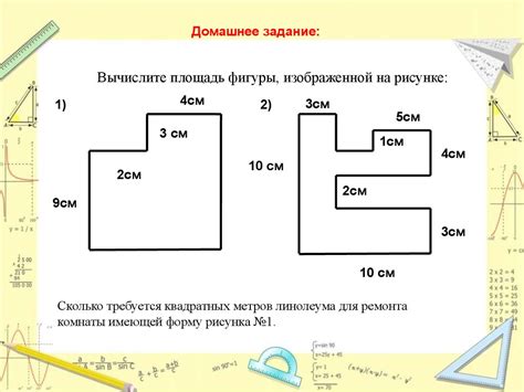 Размеры и площадь выставки