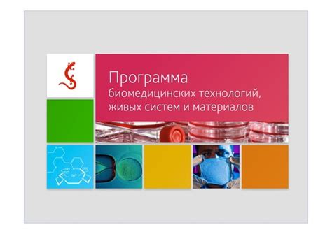 Роль биомедицинских материалов