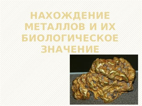Роль металлов в сельском хозяйстве