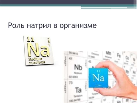 Роль натрия в биологии