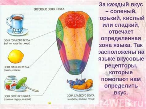 Состав шприца и его влияние на вкус