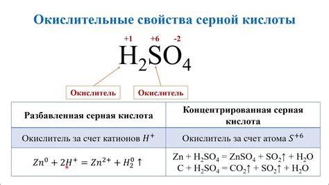 Сталь и ее взаимодействие с серной кислотой