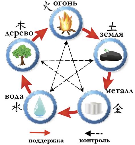 Стихия дерева и земли в пятиэлементной системе