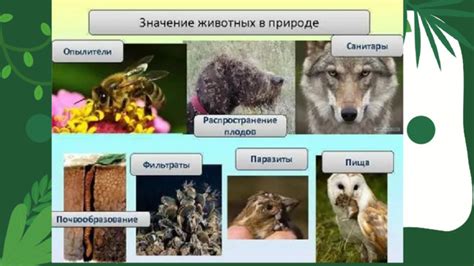 Сурьма: роль в живой природе