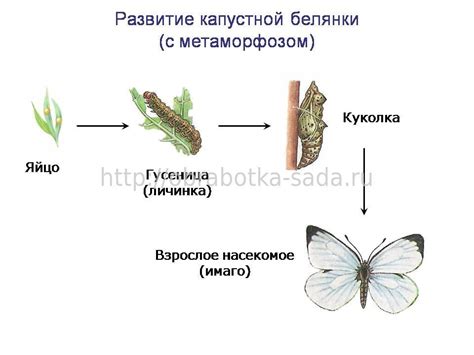 Третья стадия: плавка и превращение