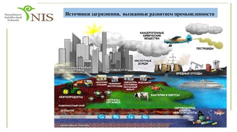Тяжелые металлы: вред окружающей среде